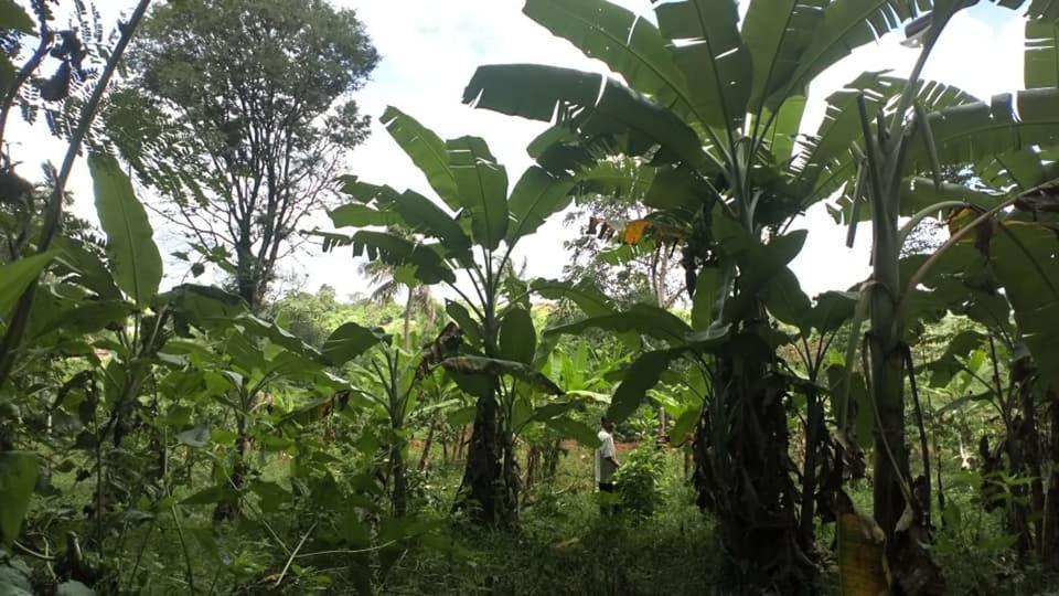 Happy Homestay Buon Ma Thuot Exterior foto