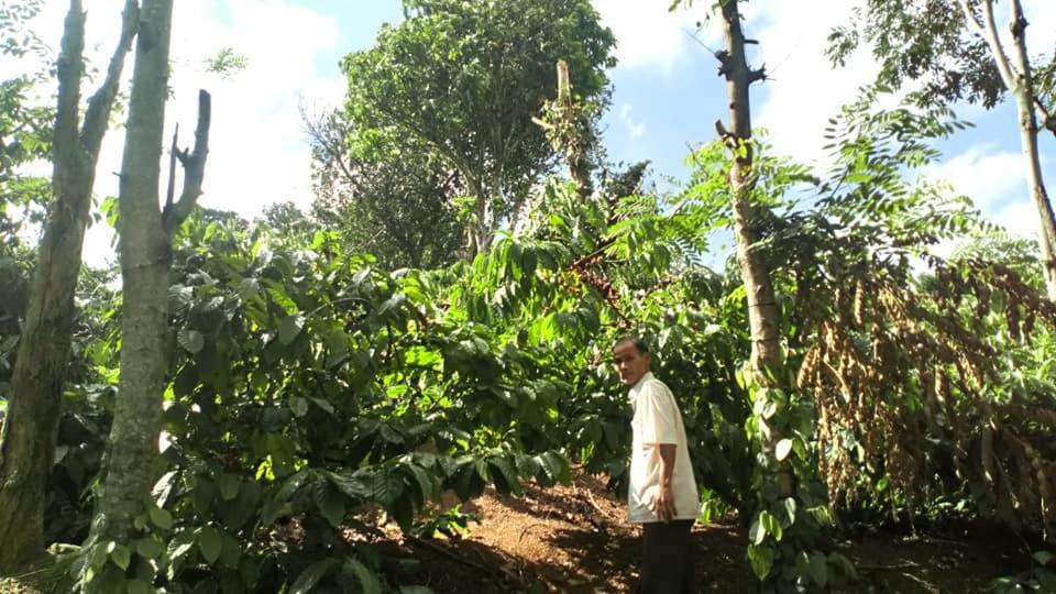 Happy Homestay Buon Ma Thuot Exterior foto